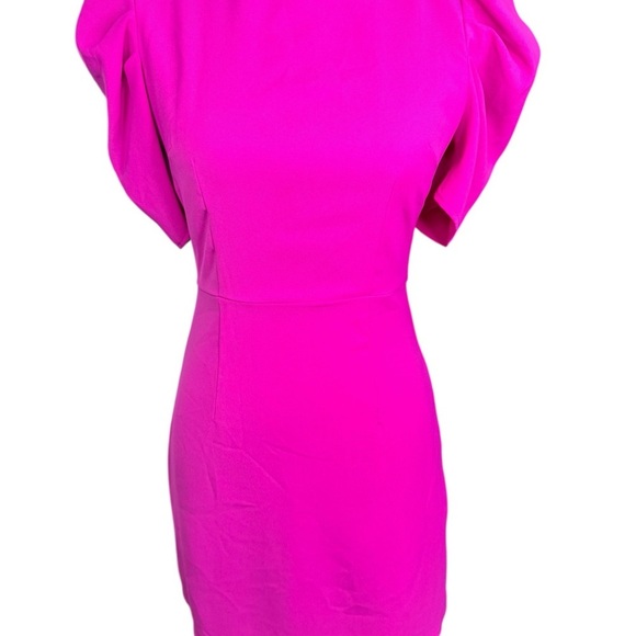 TCEC Pink Puff Sleeve Crew Neck Mini Dress - Picture 2 of 7